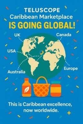 Global Flyer Teluscope